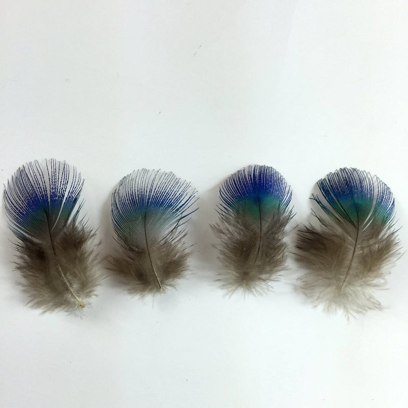 Sowder 50pcs Blue Peacock Plumage Feathers 1-3 Inches Home Wedding Decoration - Image 4